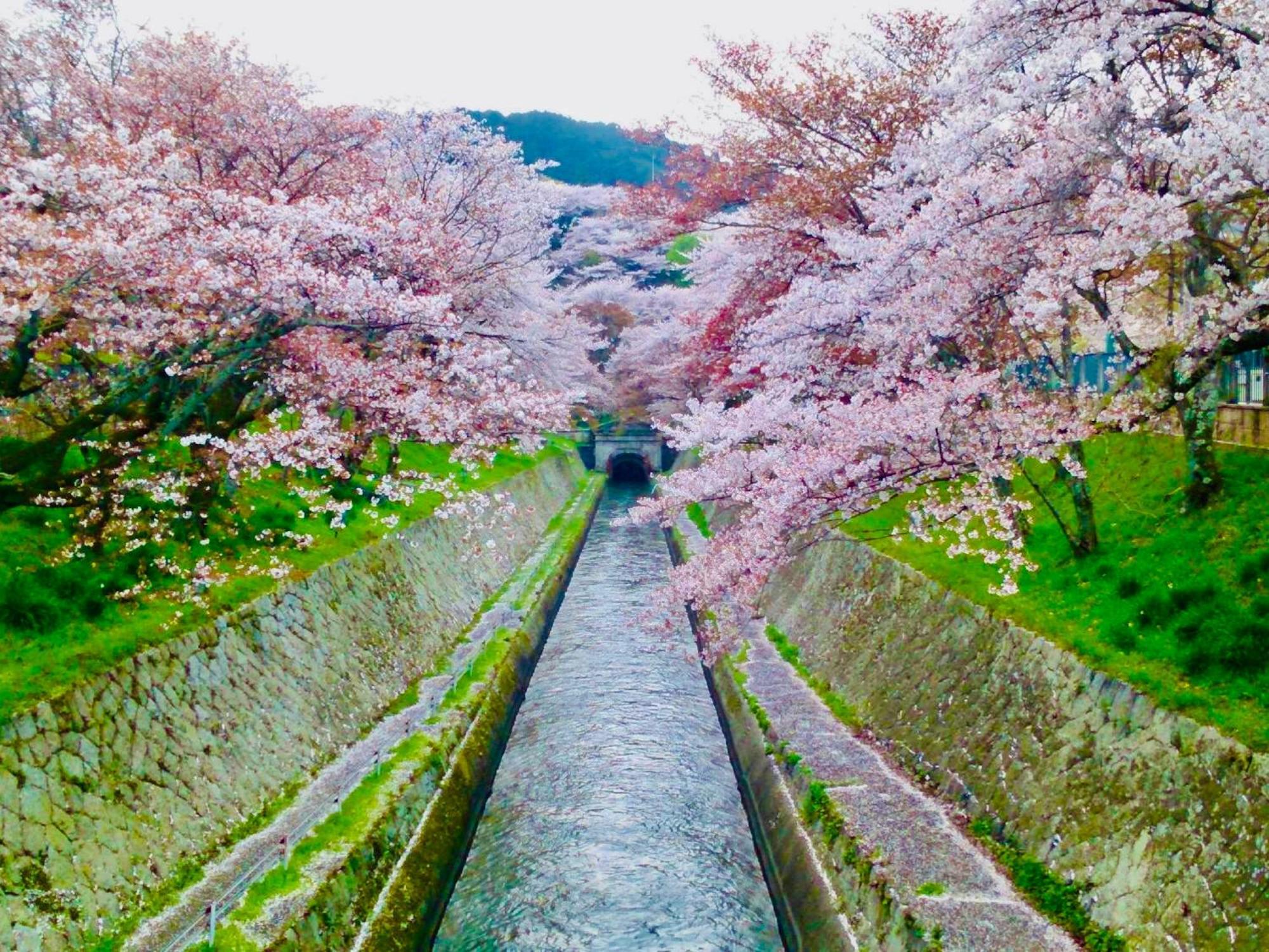Koke Musu Inn Otsu Dış mekan fotoğraf